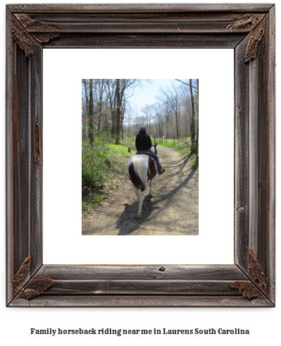 family horseback riding near me in Laurens, South Carolina